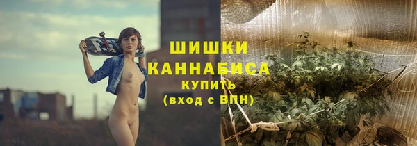 гашик Михайловск