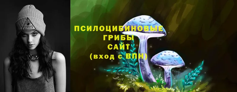 Псилоцибиновые грибы Cubensis  Мышкин 