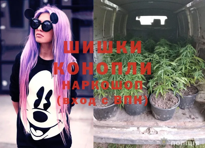 МАРИХУАНА SATIVA & INDICA  Мышкин 